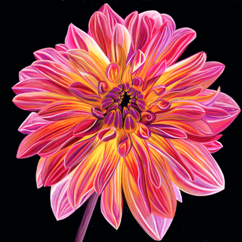 Chrysanthemum - Michael Godard Art Gallery