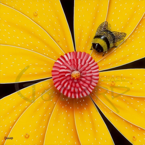 Black background canvas with a bright yellow flower with a pink multicolored center. A cute little black and yellow striped bee hangs out near the center of the flower, top right.